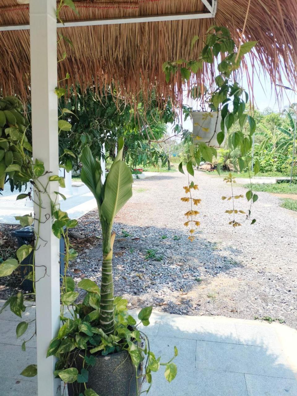 Primprey Second Home Battambang Extérieur photo